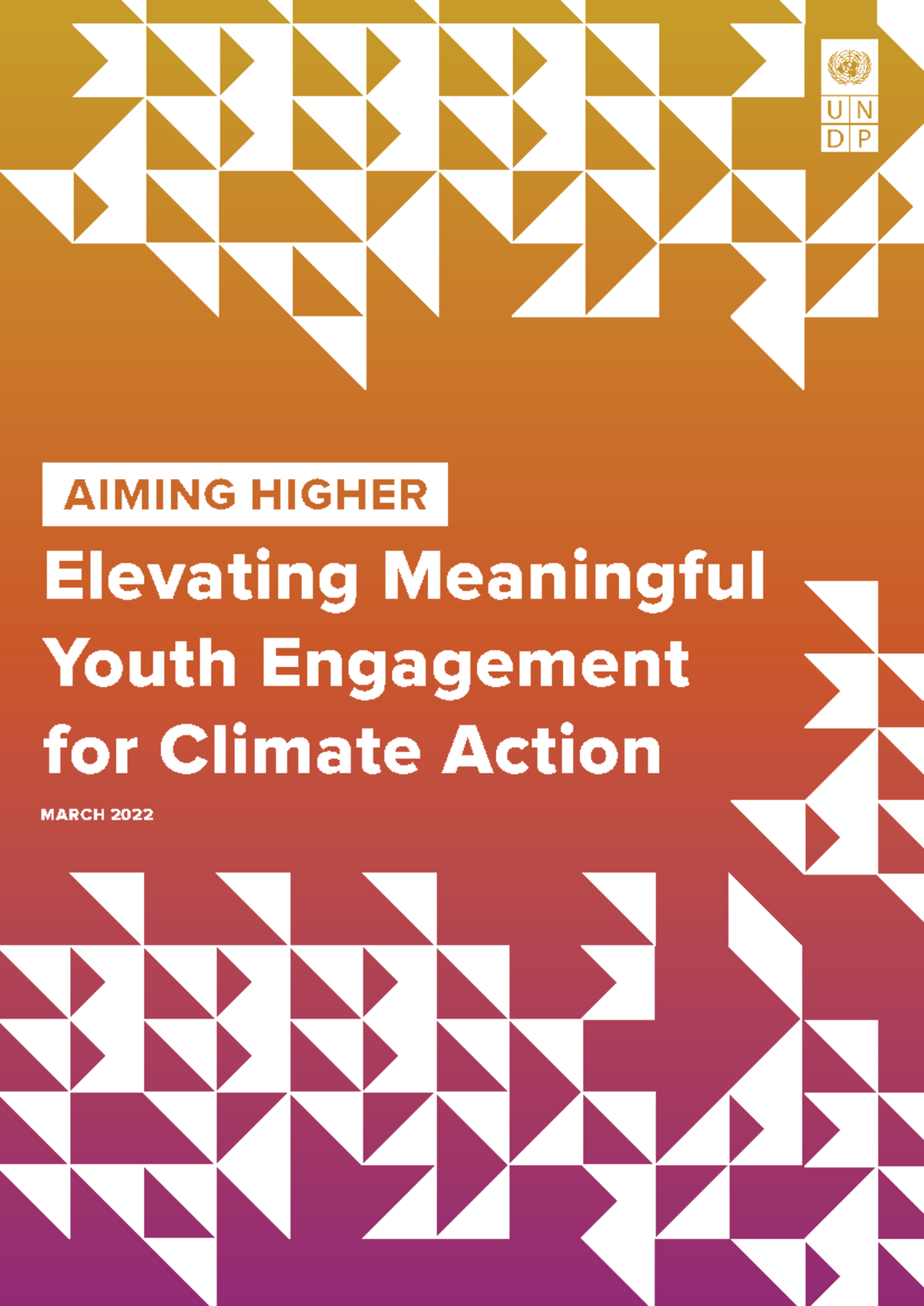 UNDP Elevating Meaningful Youth Engagement for Climate Action 2 ...