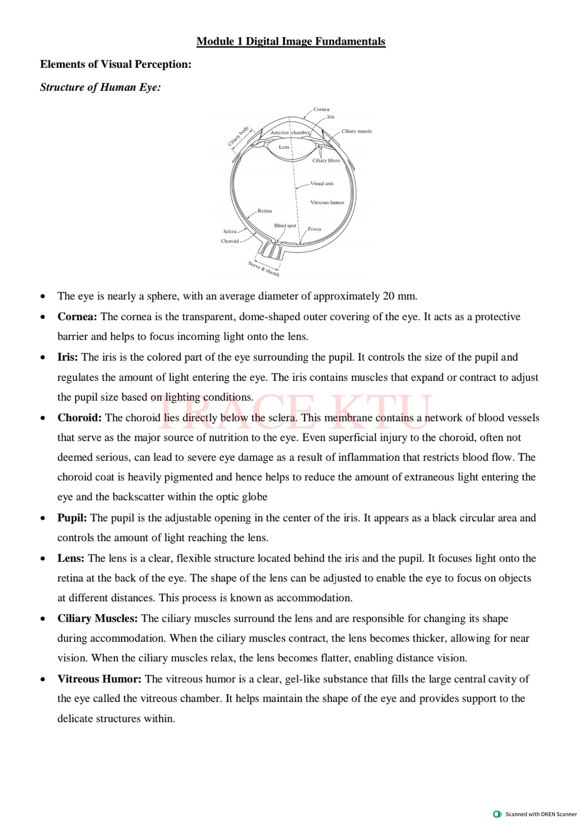 Module I - Digital Image Fundamentals: Visual Perception & Eye ...