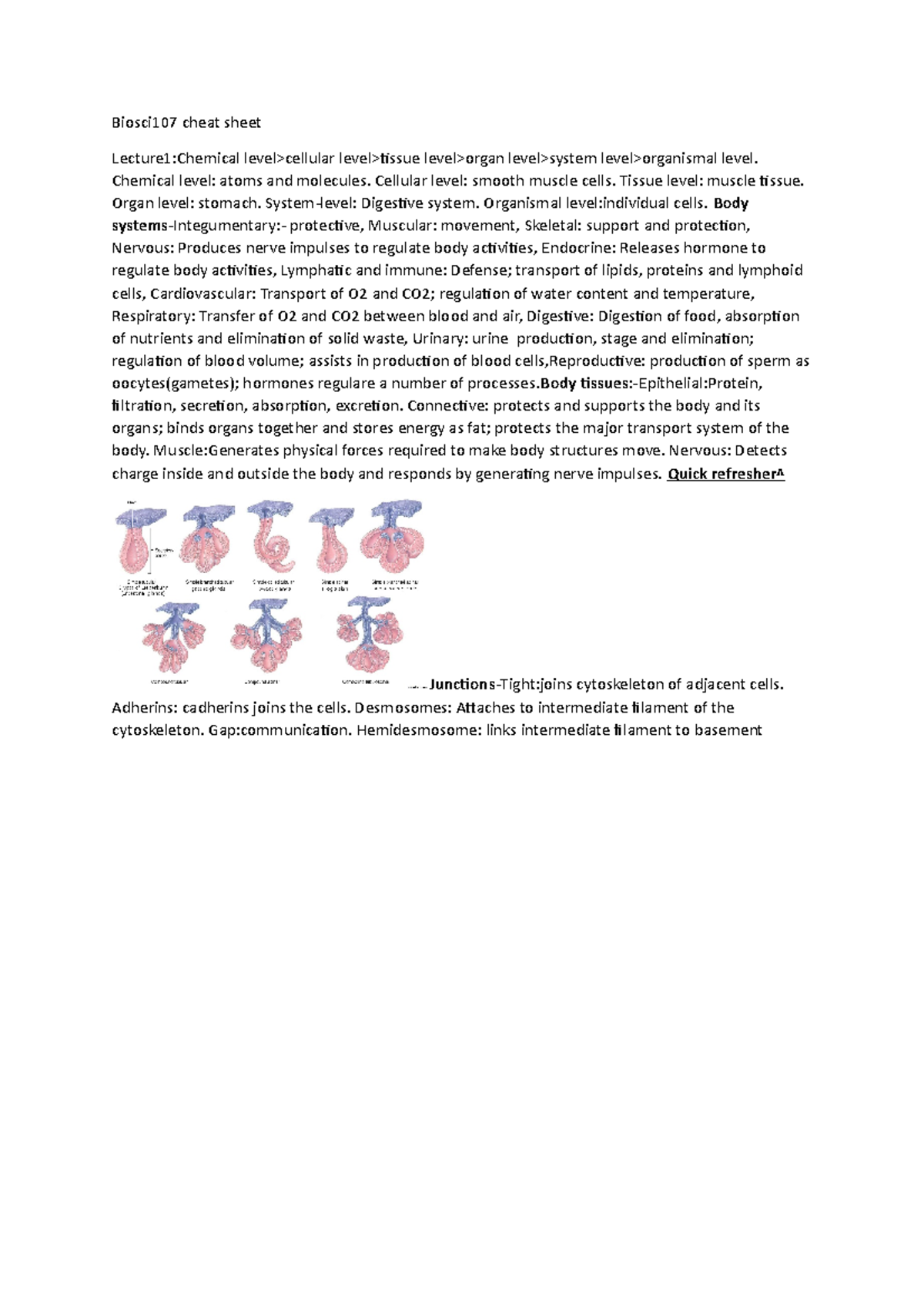 Biosci 107 cheat sheet - Biosci107 cheat sheet Lecture1:Chemical level ...