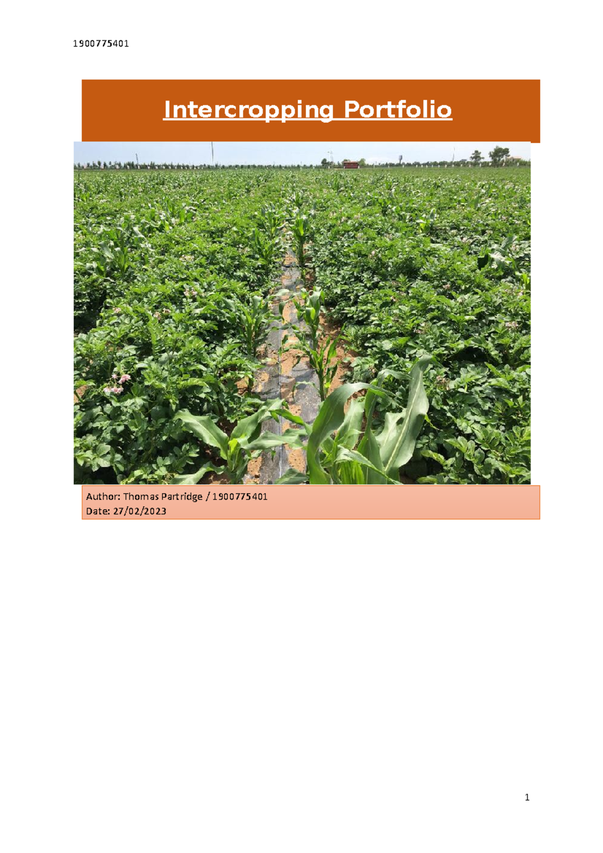 Intercropping Portfolio Analysis: Resource Efficiency & Benefits - Studocu