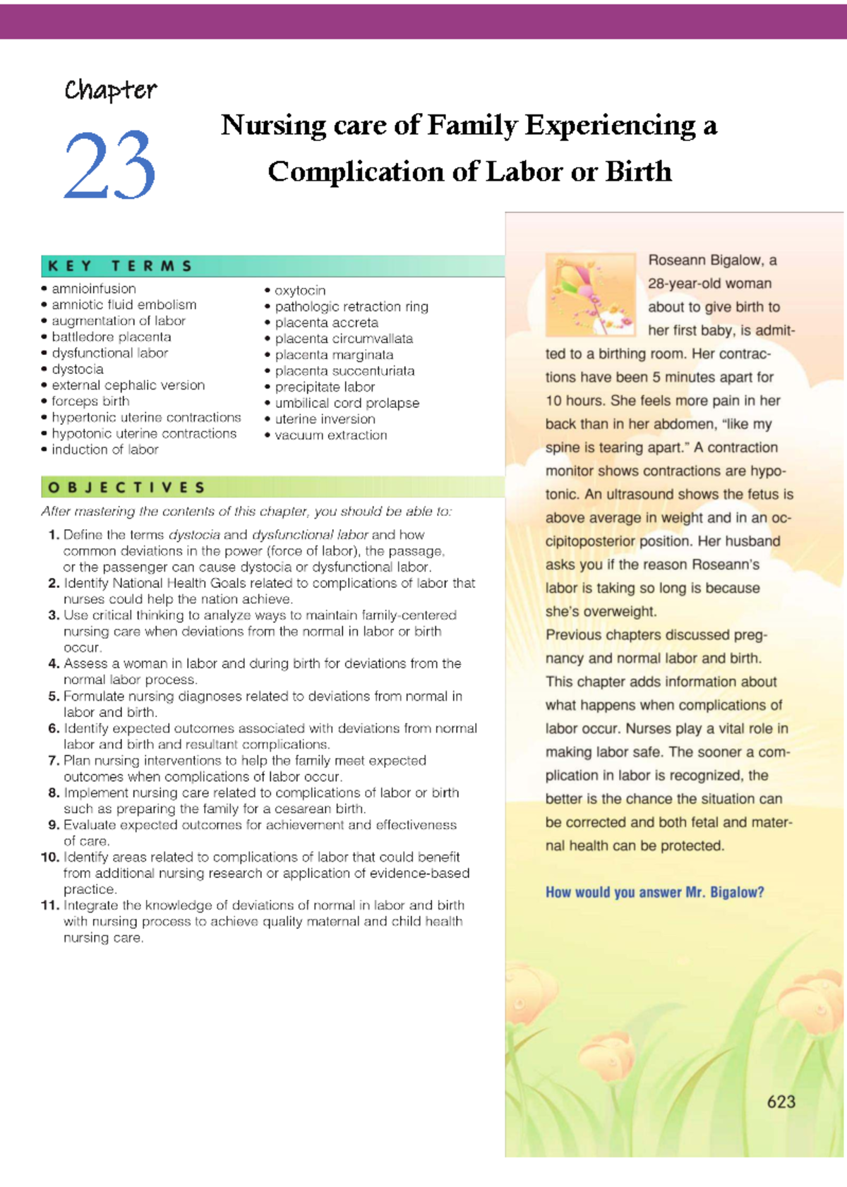 Nursing Care for Families Facing Complications in Labor (Chapter 23 ...