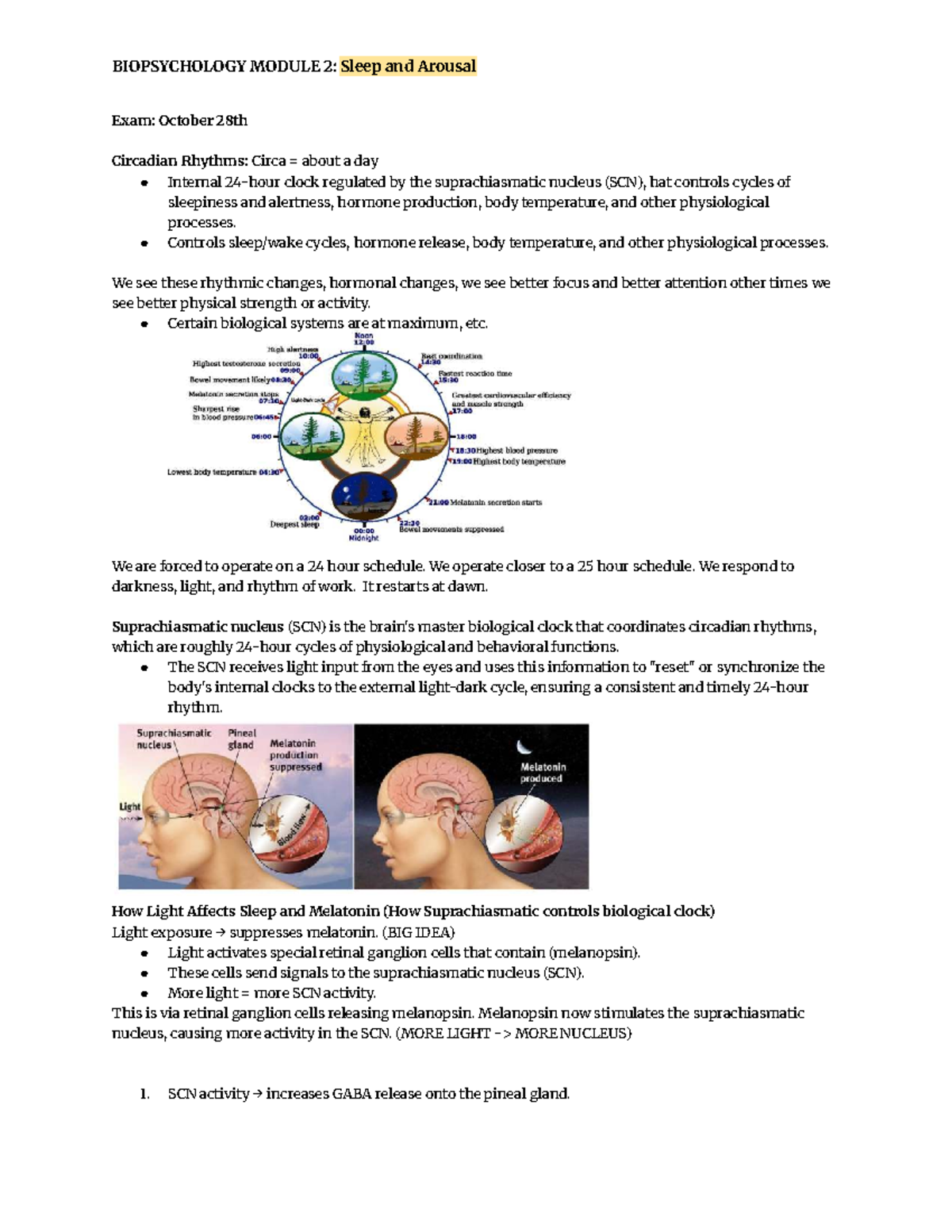 BIOPSYCHOLOGY MODULE 2: Sleep and Arousal Exam Study Guide - Studocu