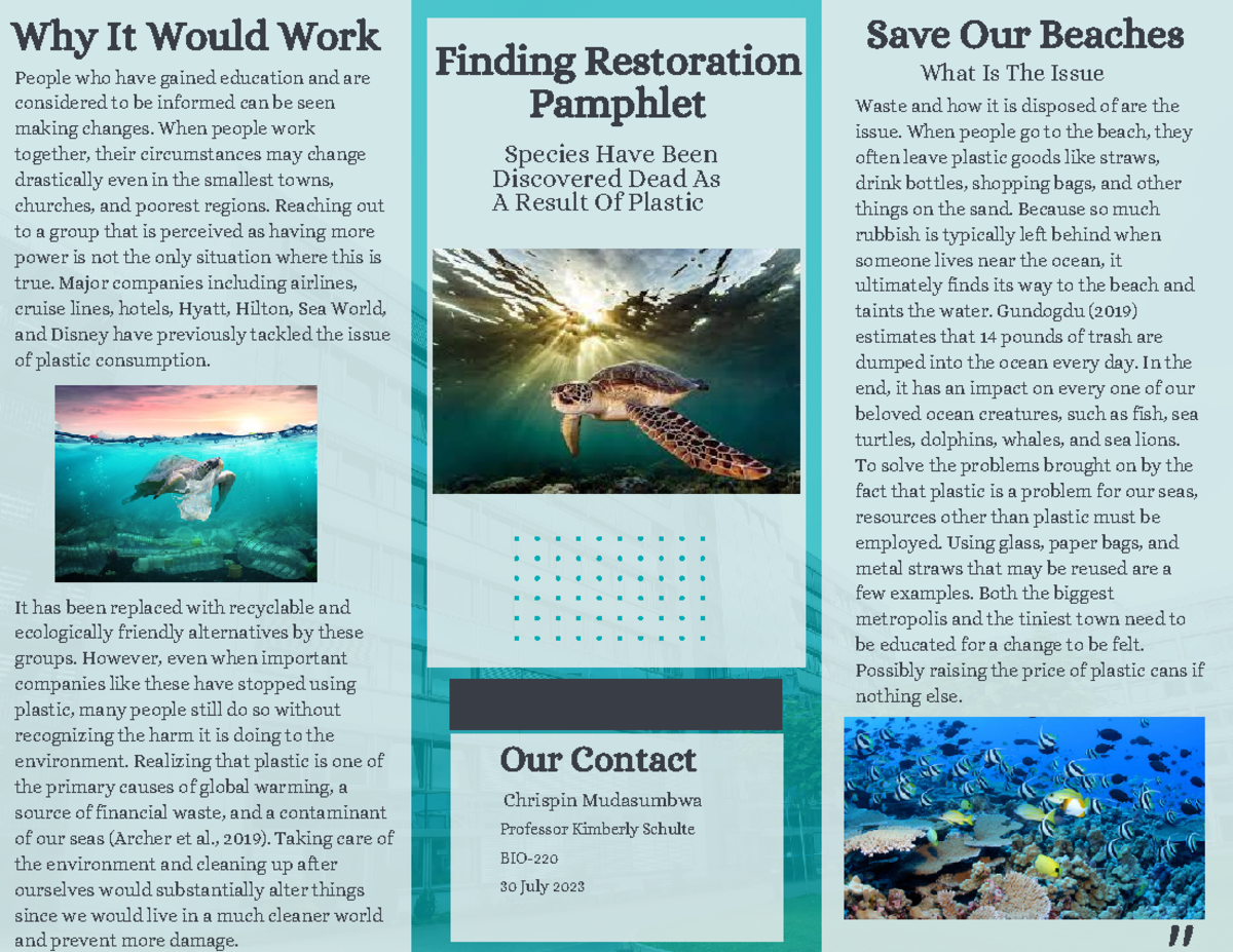 BIO Restoration Strategies: Saving Our Beaches from Plastic Waste - Studocu