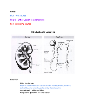 Semen- Analysis - AUBF - AUBF SEMINALYSIS RM SEMEN ANALYSIS An ...