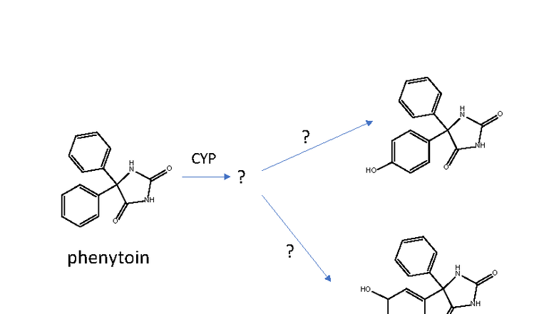 Practice Phase I Reactions: CYP Metabolism & Product Structures - Studocu
