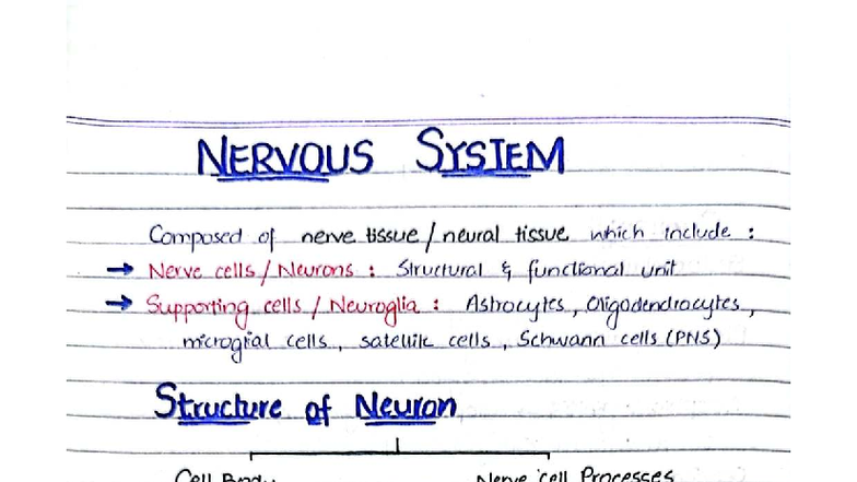 CNS Histo: Detailed Notes on Nervous System Structure and Function ...