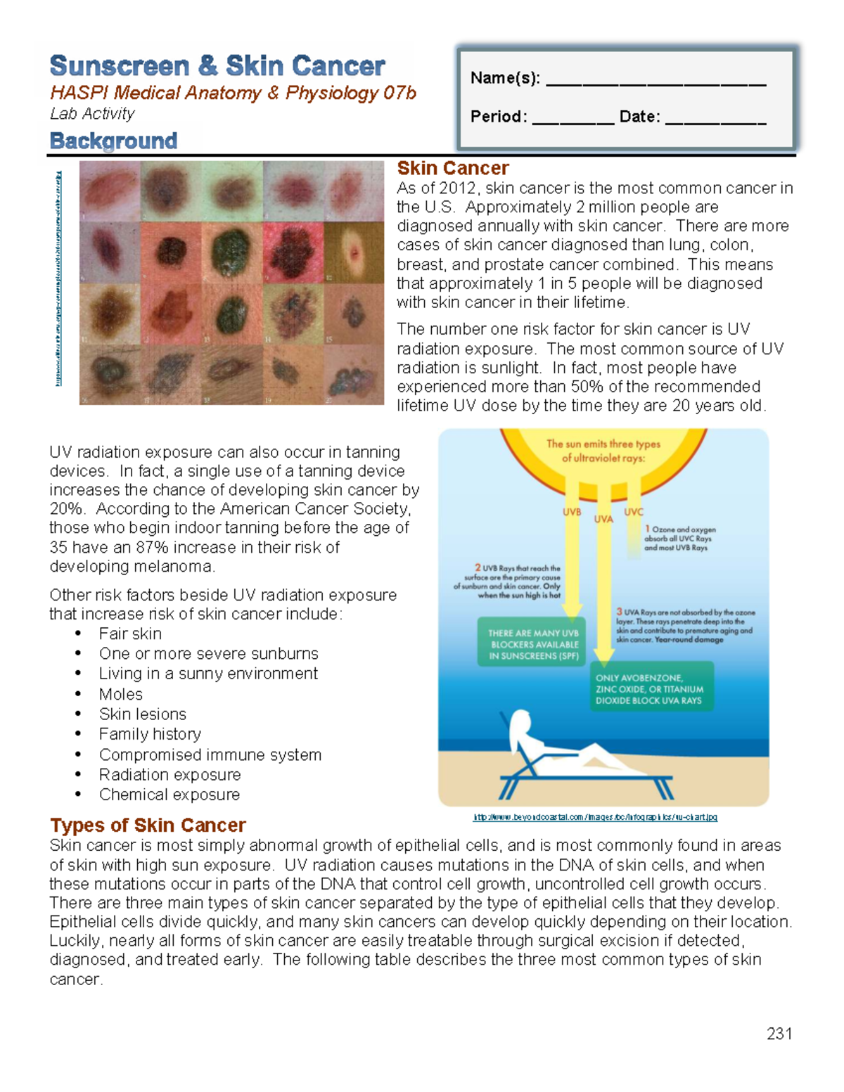 HASPI 07b Lab: Understanding Skin Cancer and Sunscreen Effects - Studocu