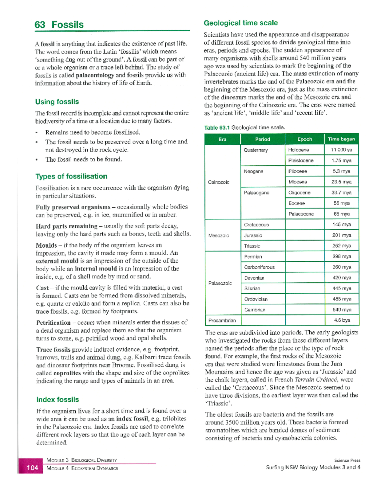 Fossils and Geological Time Scale: Insights and Key Concepts (BIO 63 ...