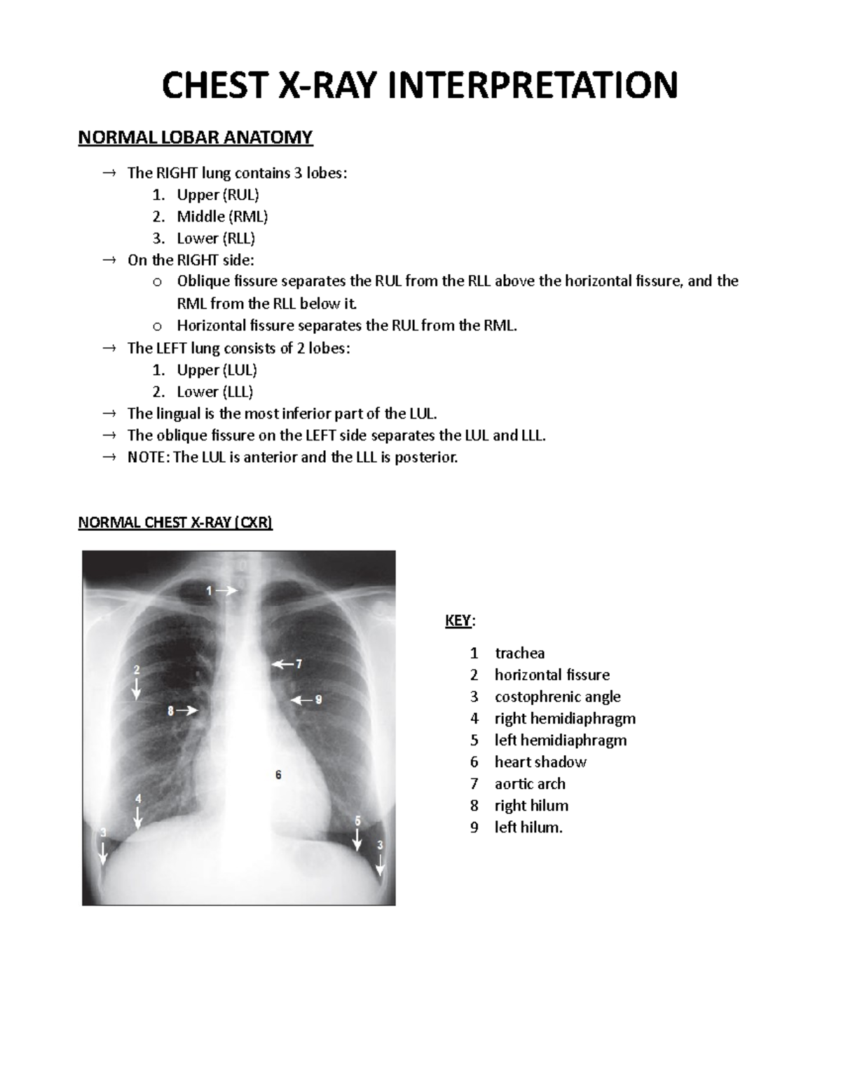 CHEST X-RAY INTERPRETATION: KEY ANATOMY & ABNORMALITIES STUDY - Studocu