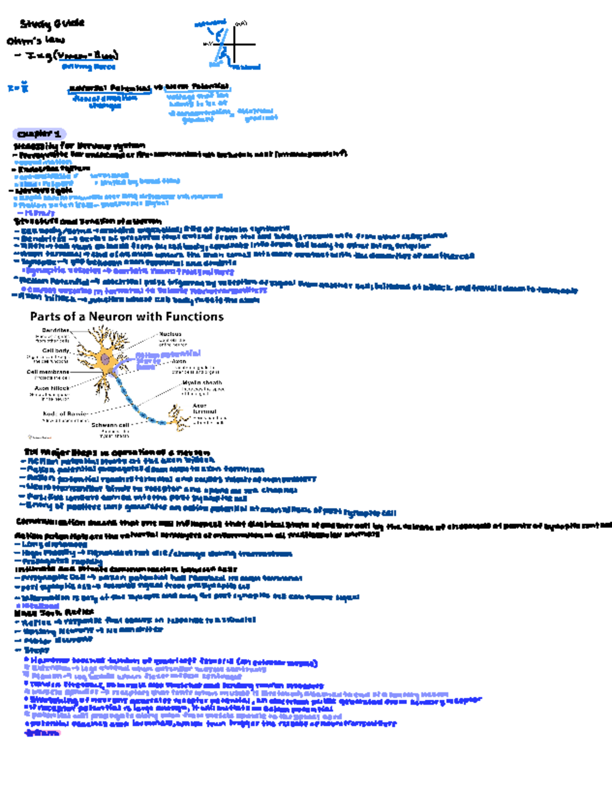 Study Guide CNS - Summary of Chapters & Class Notes for Exam Prep - Studocu