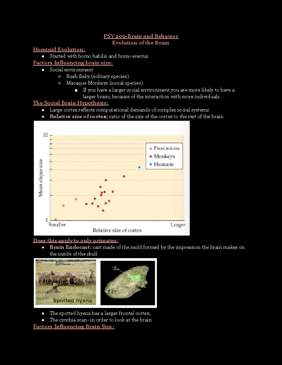 PSY 209 - Final Exam Review on Brain Development and Behavior - Studocu