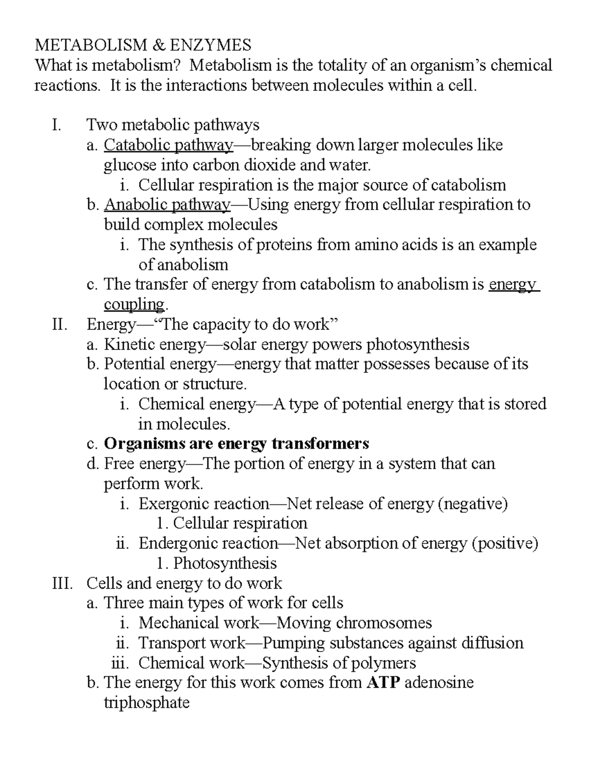 Chapter 6 Metabolism Enzymes Overview And Key Concepts Studocu