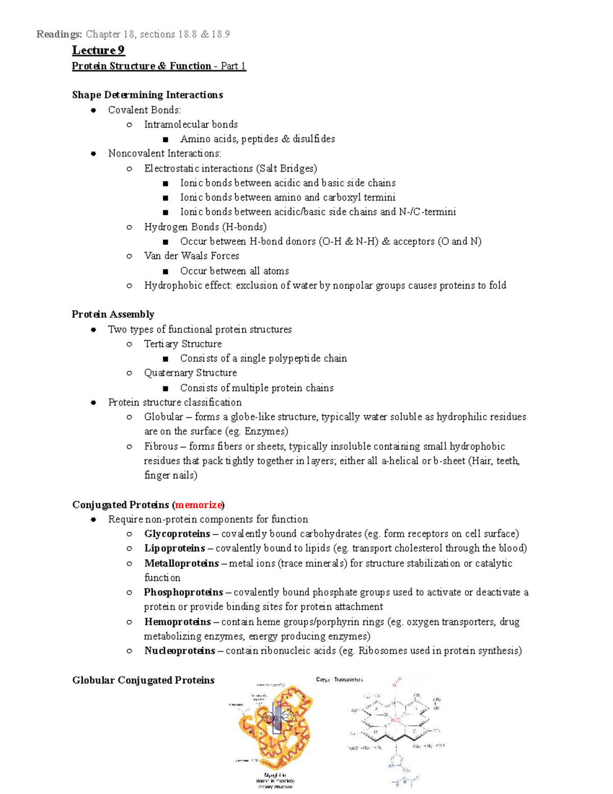 Biochem 101: Lecture Notes on Protein Structure & Function for Exam 2 ...