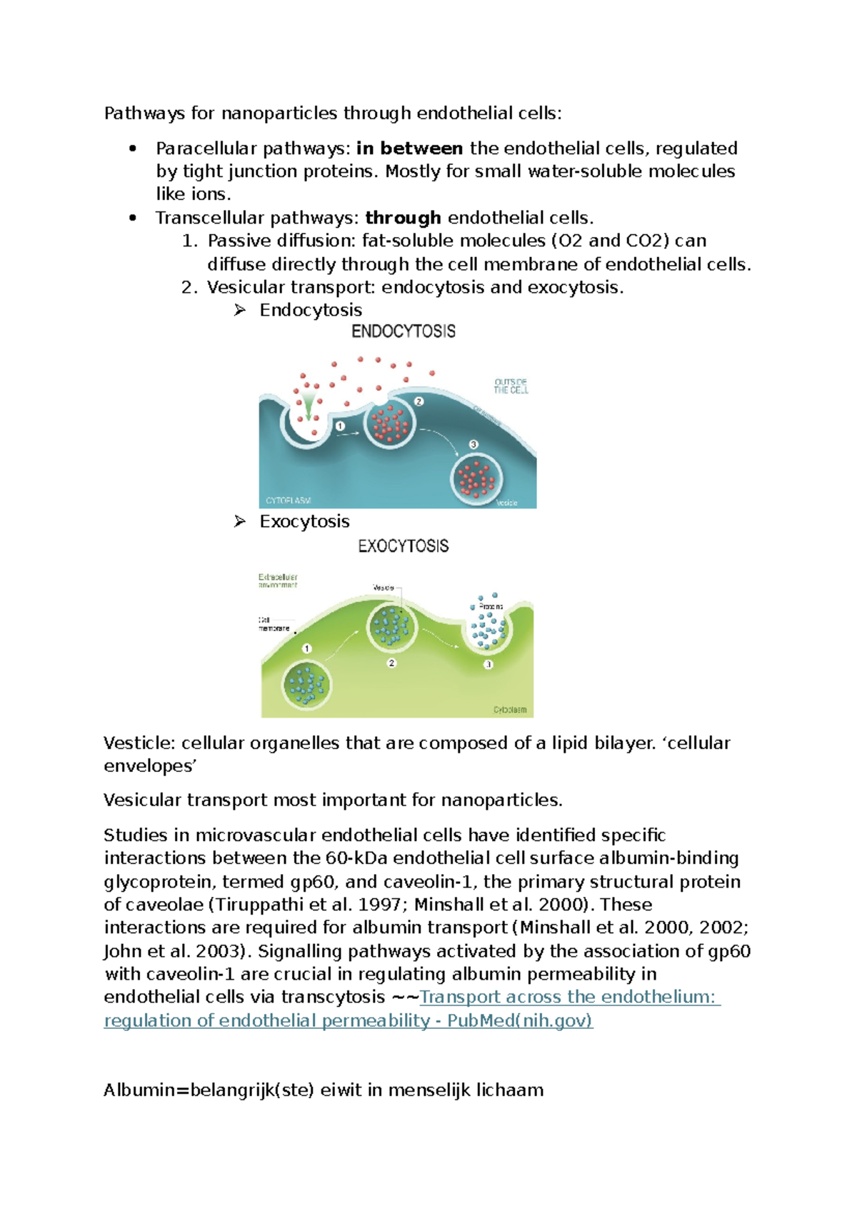 Nanoparticle Transport Mechanisms in Endothelial Cells: Pathways ...