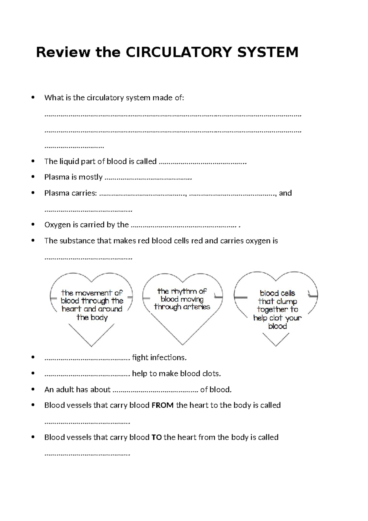 Review of the Circulatory System: Key Concepts and Functions - Studocu