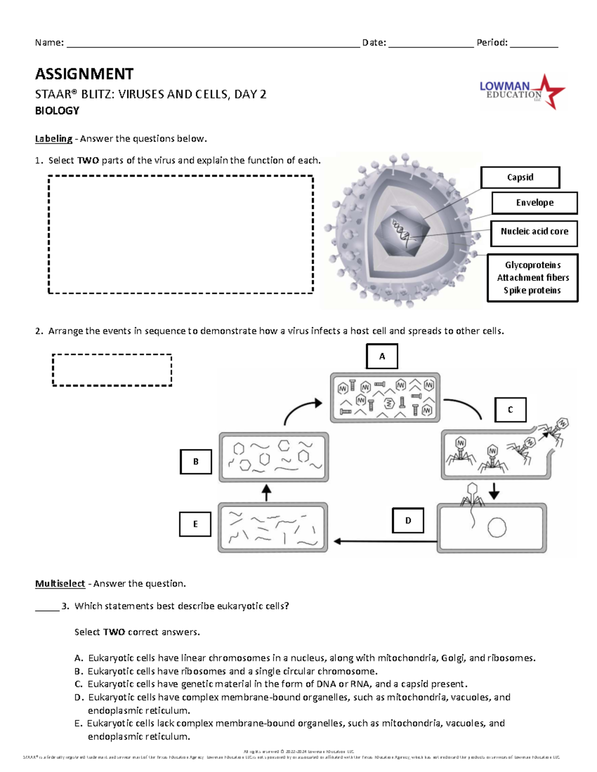 BIO 101: Assignment Blitz on Viruses and Cells - Day 2 - Studocu