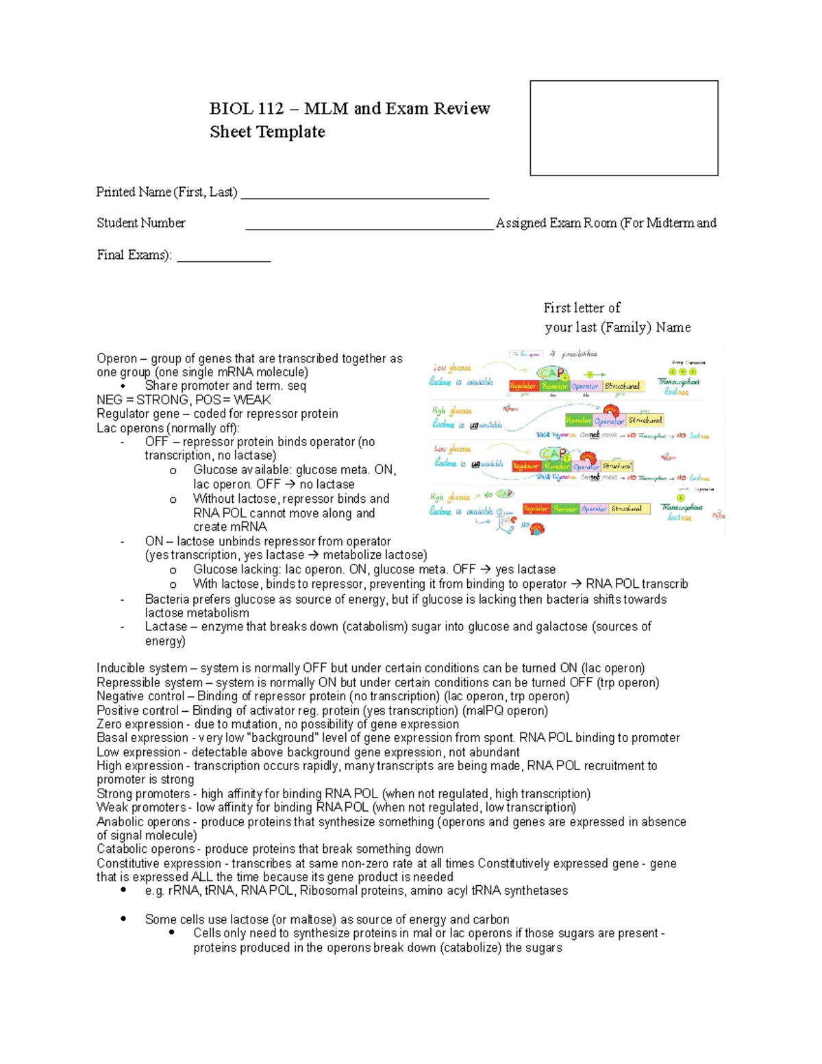BIOL 112 - MLM Midterm Exam Review Sheet on Operons and Gene Regulation ...