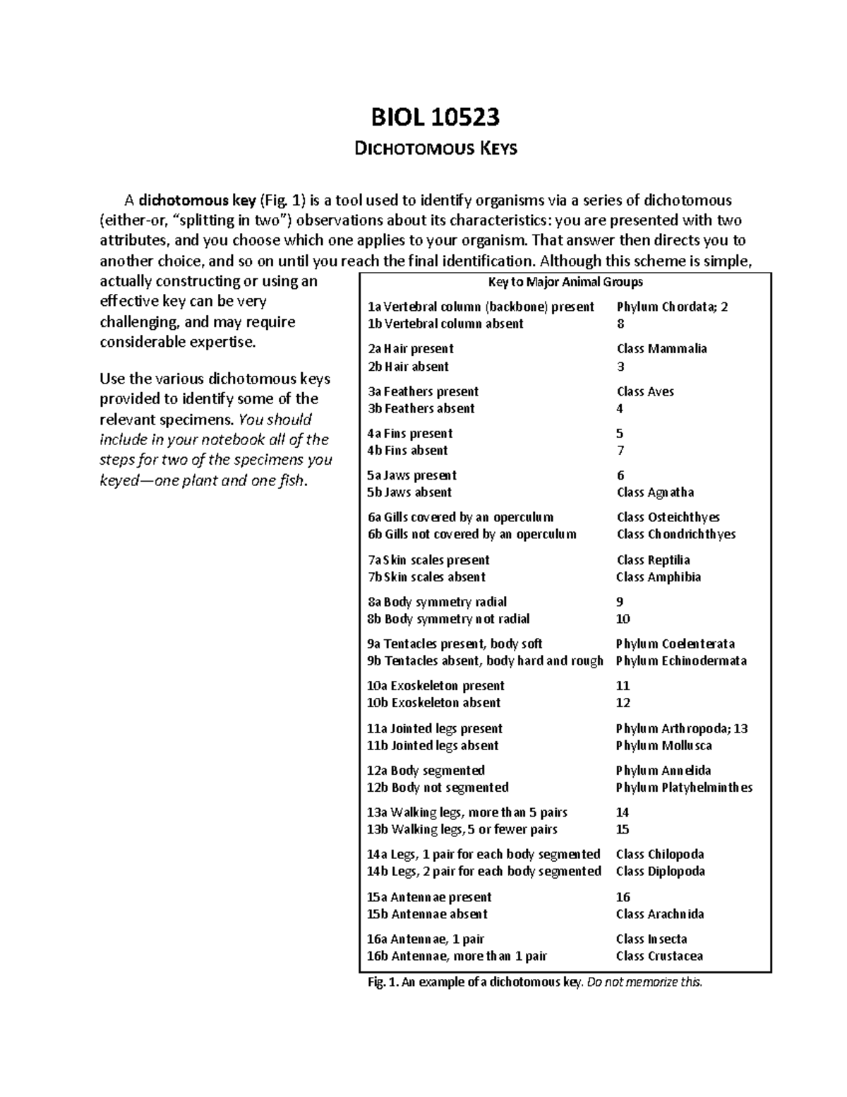 BIOL 10523: Utilizing Dichotomous Keys for Organism Identification ...