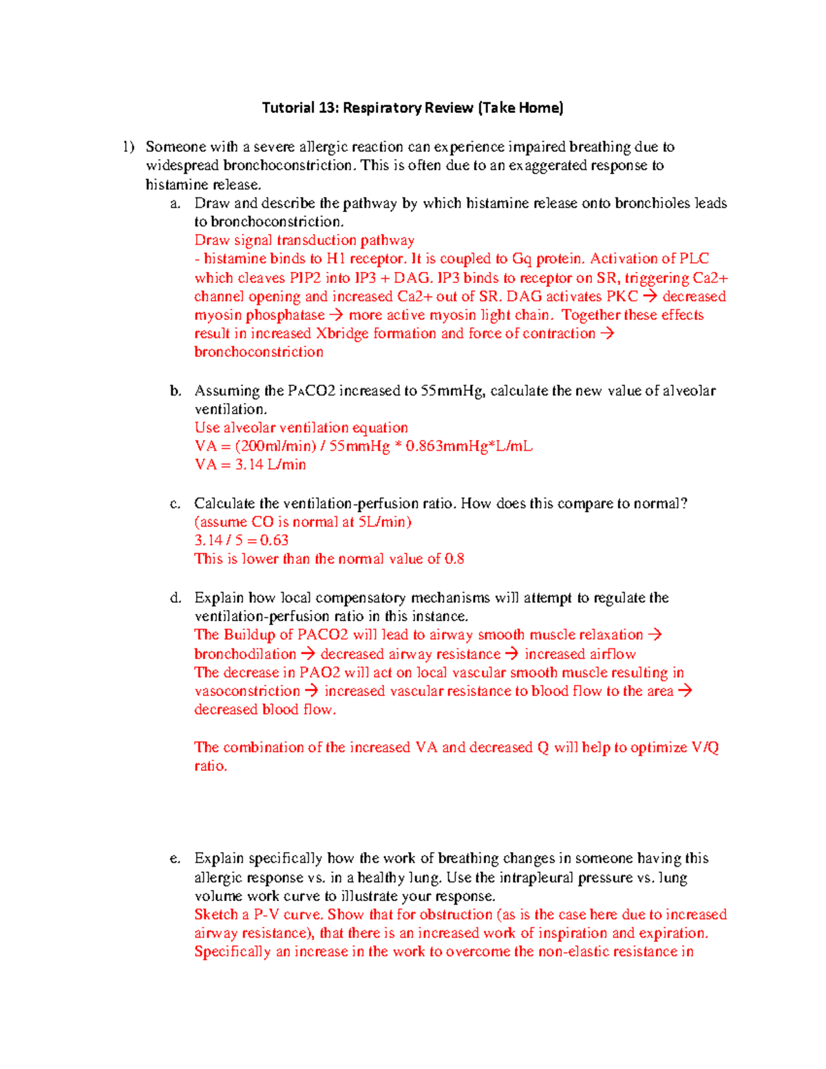 Tutorial 13 - Respiratory System Review Answer Key - Studocu