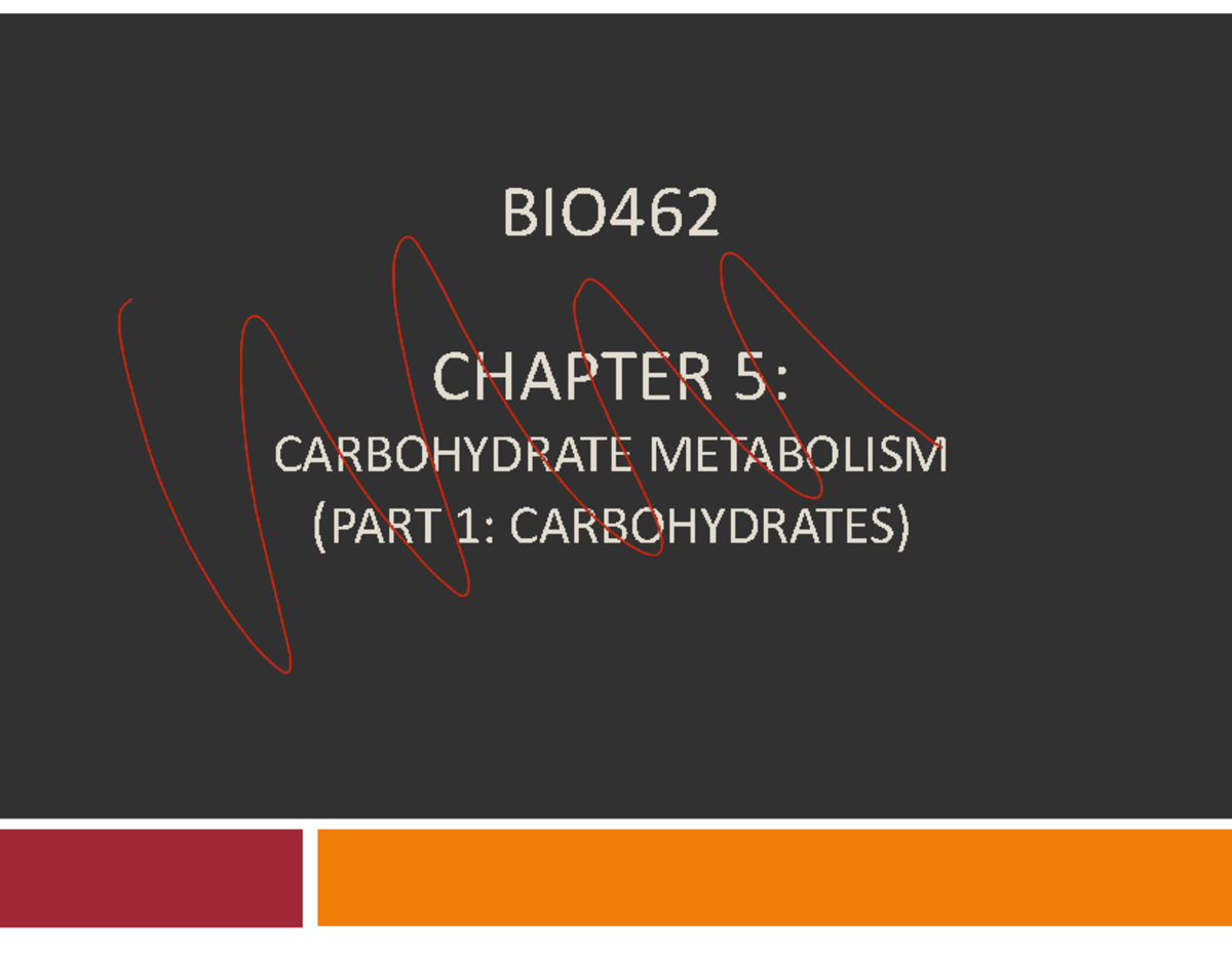 BIO462 CHAPTER 5: CARBOHYDRATE METABOLISM NOTES - Studocu