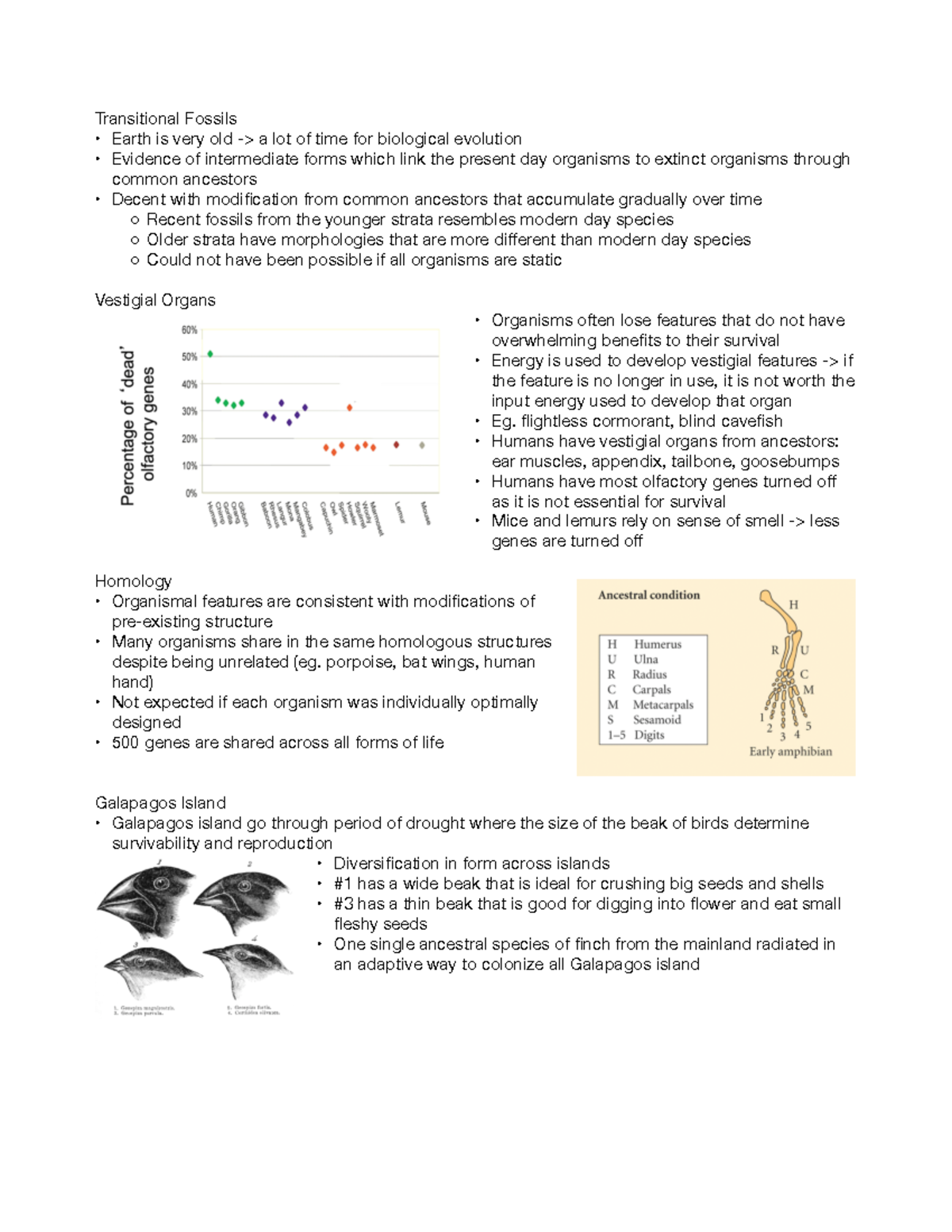 BIO120 Lecture 2 Notes - Transitional Fossils Earth is very old -> a ...