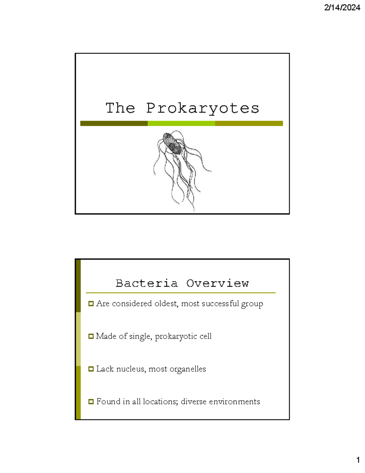 Bacteria and Archaea Overview - Chapter 27 Lecture Notes - Studocu