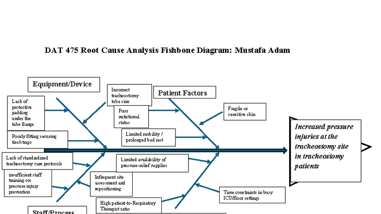 DAT 475 Final Exam: Fishbone Diagram Analysis of Pressure Injuries in ...