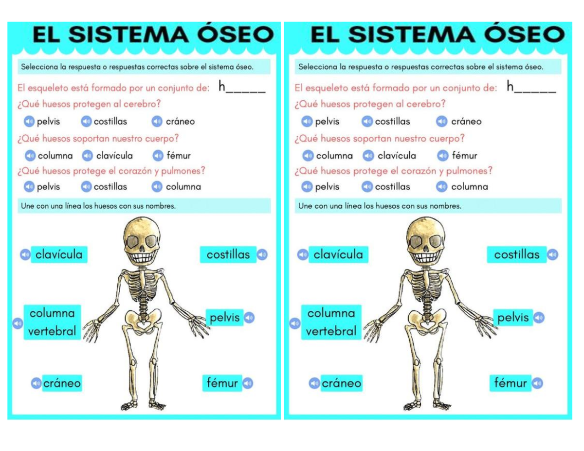 Examen Del Sistema Oseo Para Primaria fity.club