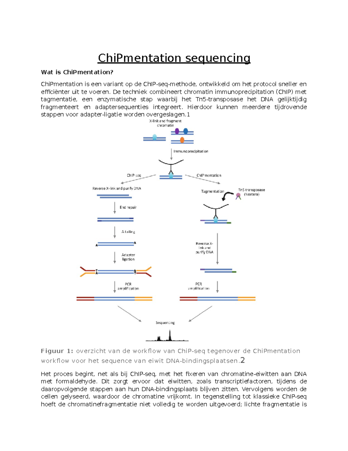 ChiPmentation Sequencing: Efficiëntie in NGS Technologie (BRAD-101 ...