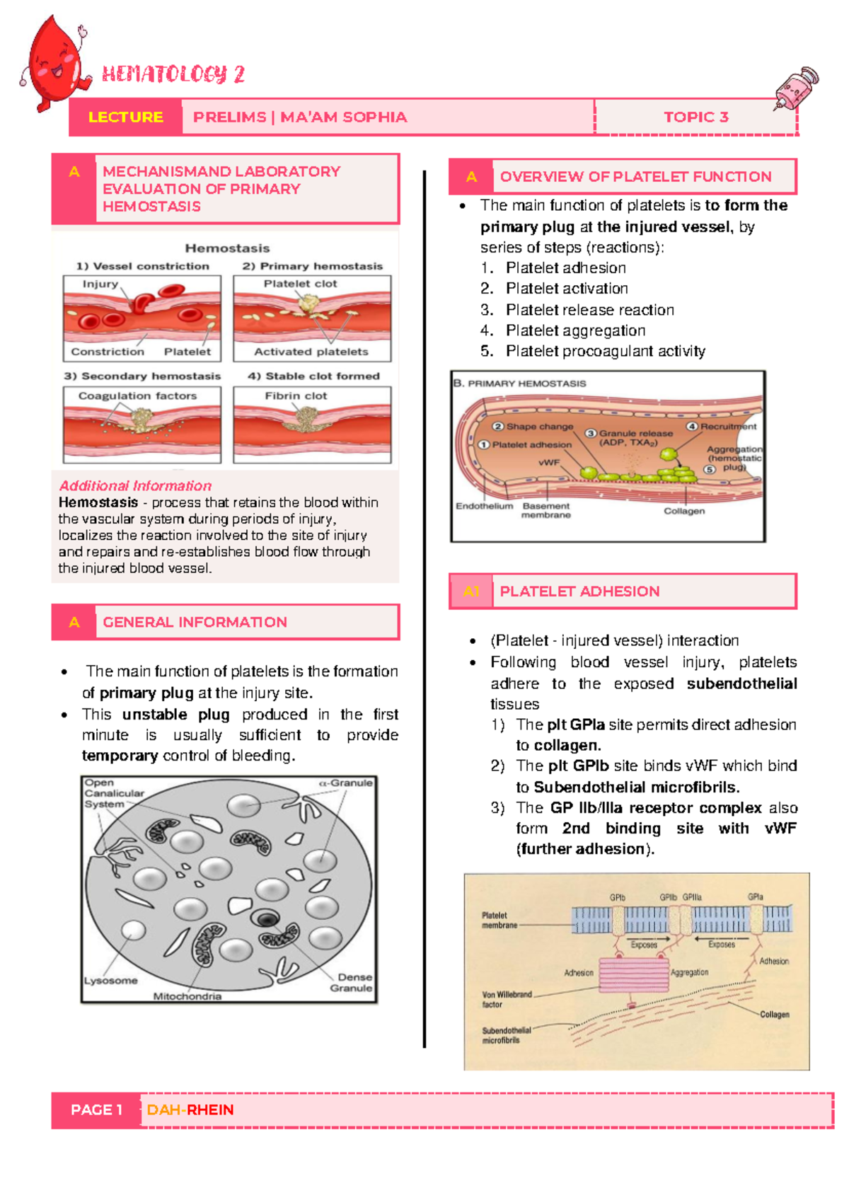 HEMATOLOGY 2 LECTURE PRELIMS: PLATELET FUNCTION & HEMOSTASIS OVERVIEW ...