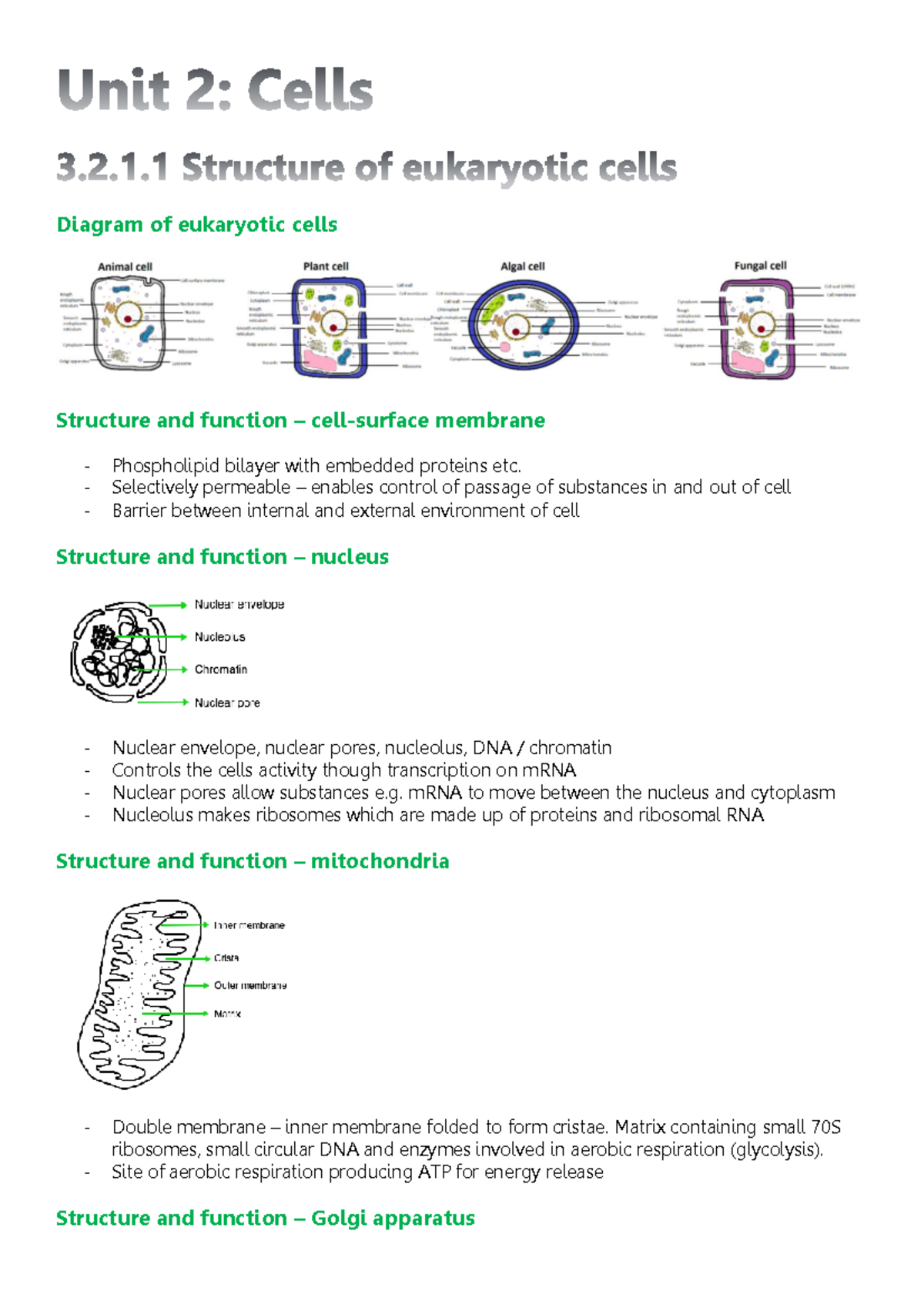 3.2 Cells revision notes: Eukaryotic and prokaryotic cell structures ...