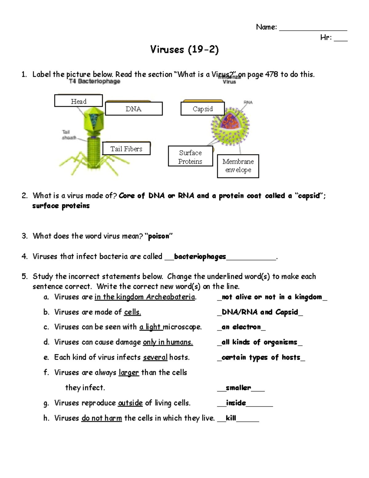 192 Virus Worksheet Answer Key & Study Guide Studocu