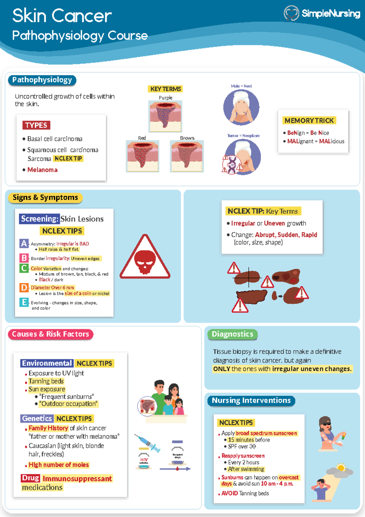 Patho - Cancer & Neoplasms - Skin Cancer - Skin Cancer Pathophysiology ...