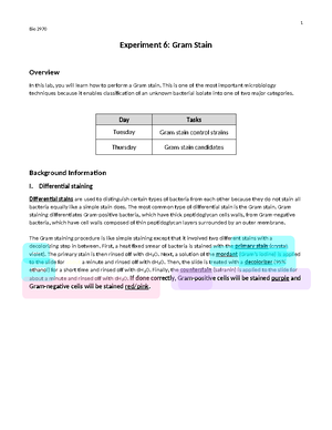 Lab Report Identification of Unknown Bacteria Updated - NAME: Kadine ...