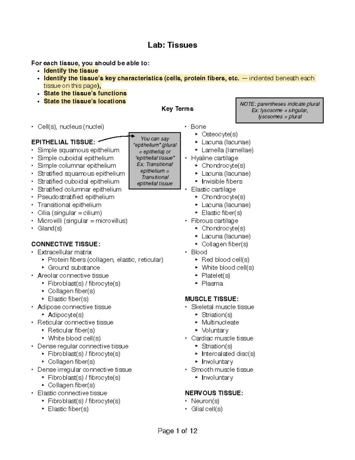 Lab 01b: Tissues - Identification and Key Characteristics - Studocu
