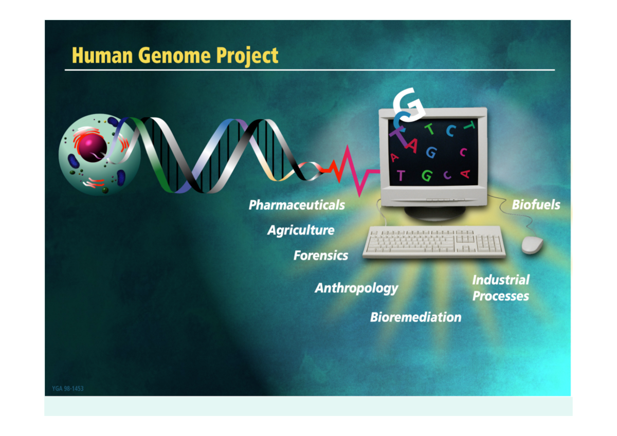 Human-genome-PGS - dsjj - The Human Genome Project Began in 1990! M