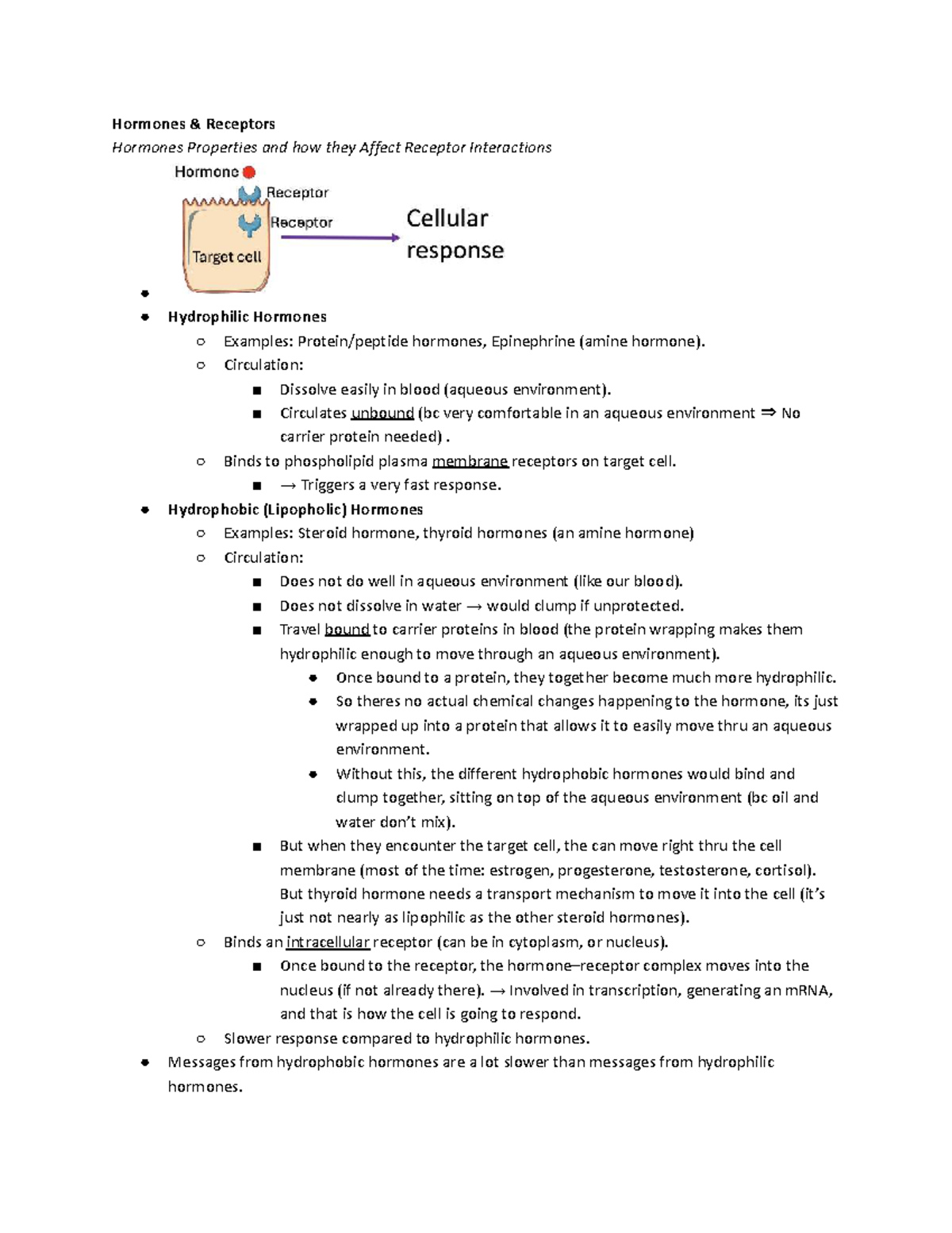 Lecture 3E: Hypothalamus and Pituitary Hormones Overview - Studocu