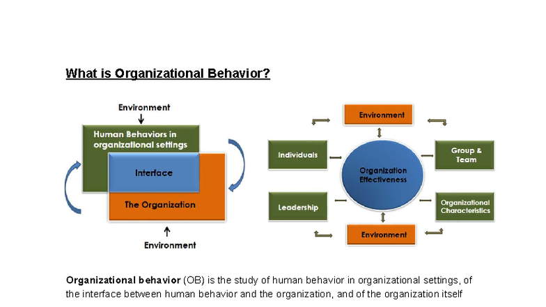 MNO1706X CS - What is Organizational Behavior? Organizational behavior ...