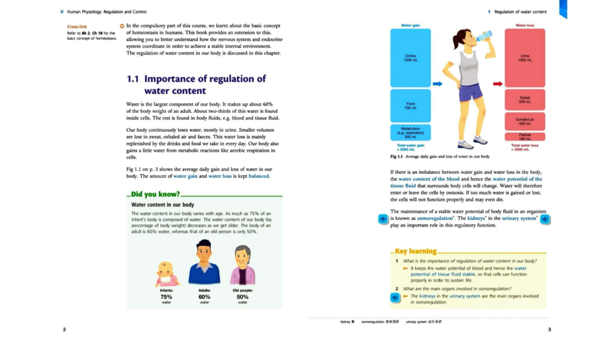 V Human Physiology: Regulation and Control 1 - Water Content Regulation ...