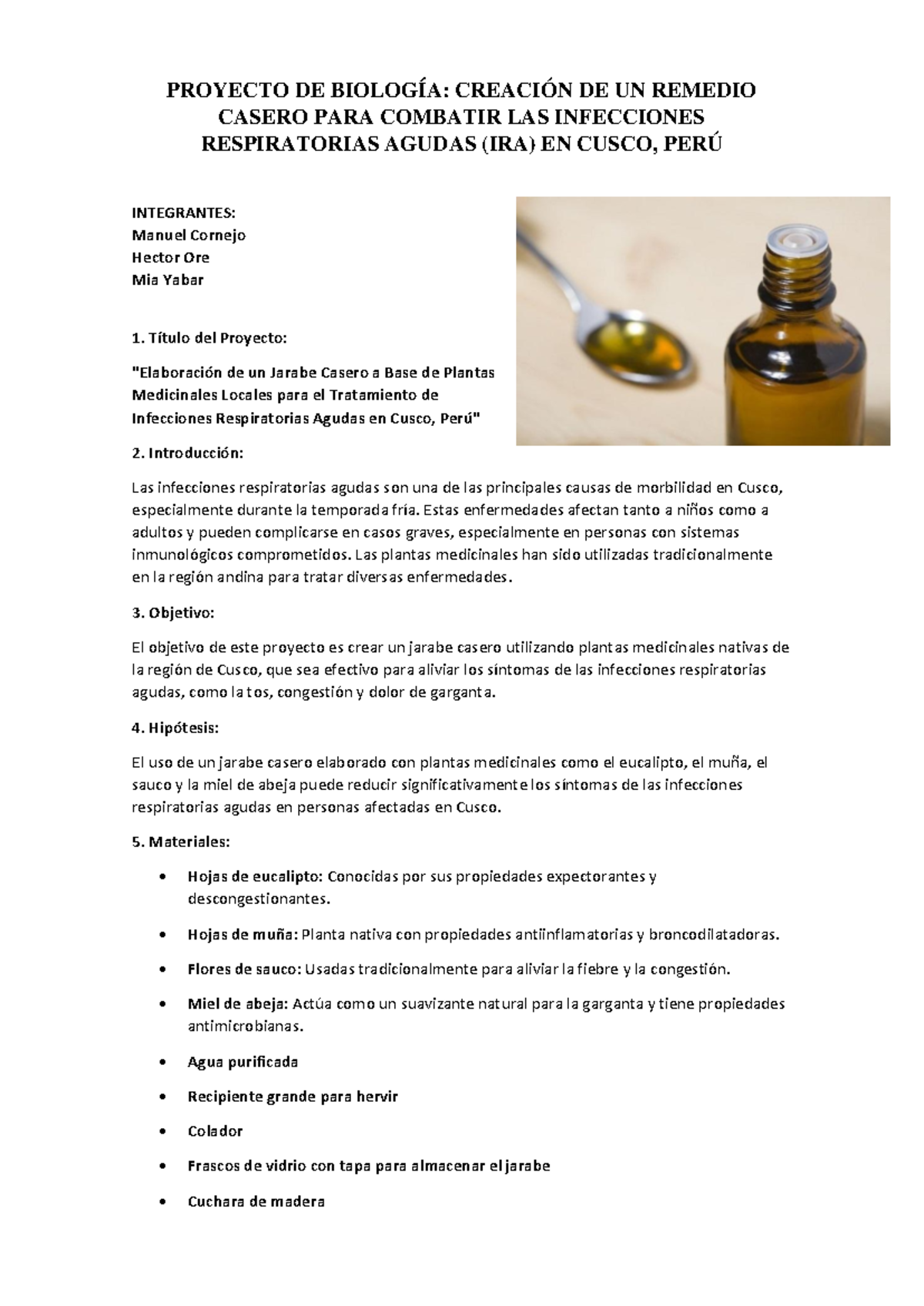 Proyecto de Biología: Jarabe Casero para Infecciones Respiratorias en Cusco - Document Preview