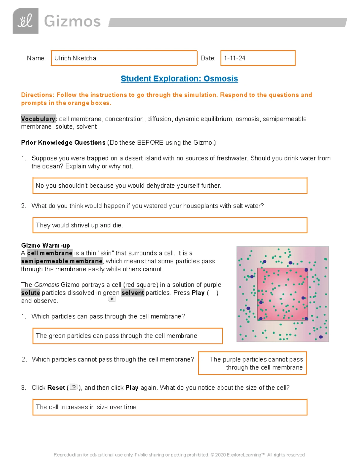 Cell Membrane Structure & Function Review - Unit 2 (Ch 2 Study Notes ...