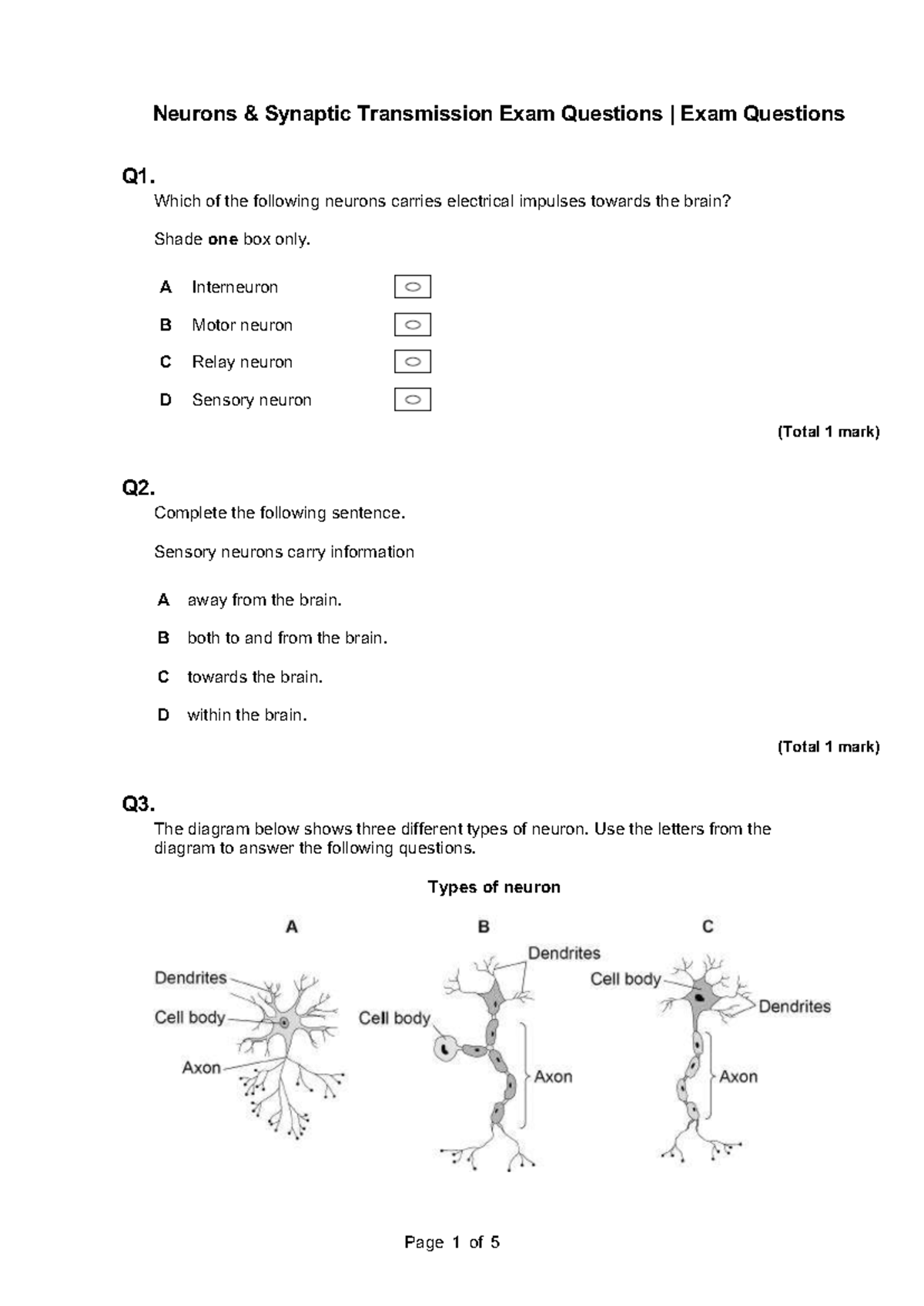 Neurons & Synaptic Transmission Exam Questions (BIO 101) - Studocu