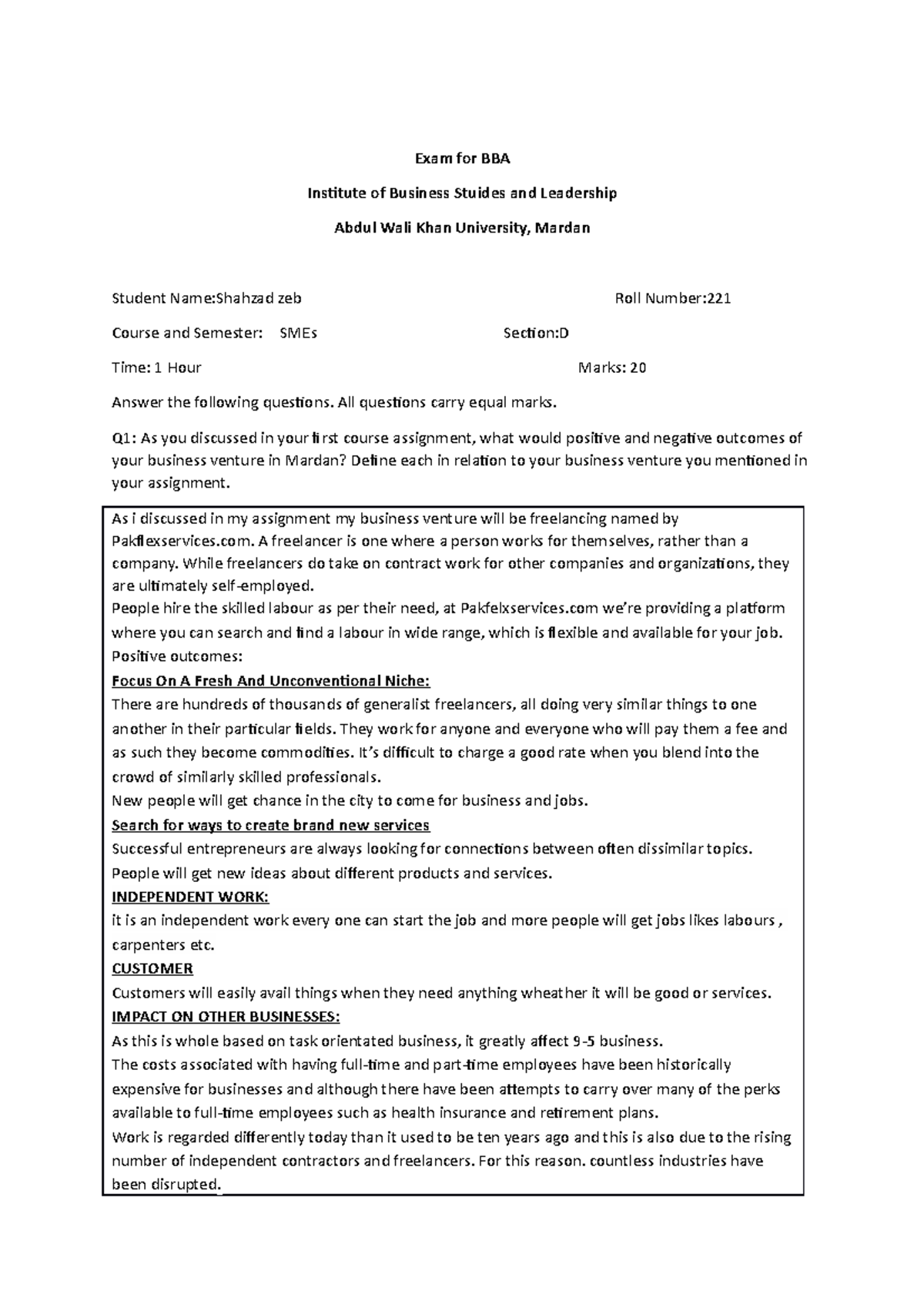 BBA Assignment: Positive & Negative Outcomes of Freelancing in SMEs ...