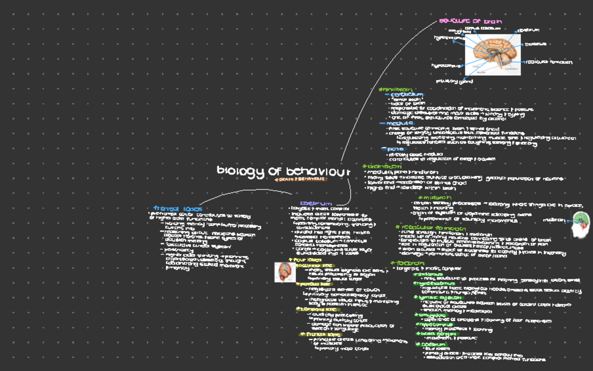 Biology of Behaviour: Brain Structures and Functions (Course Code ...