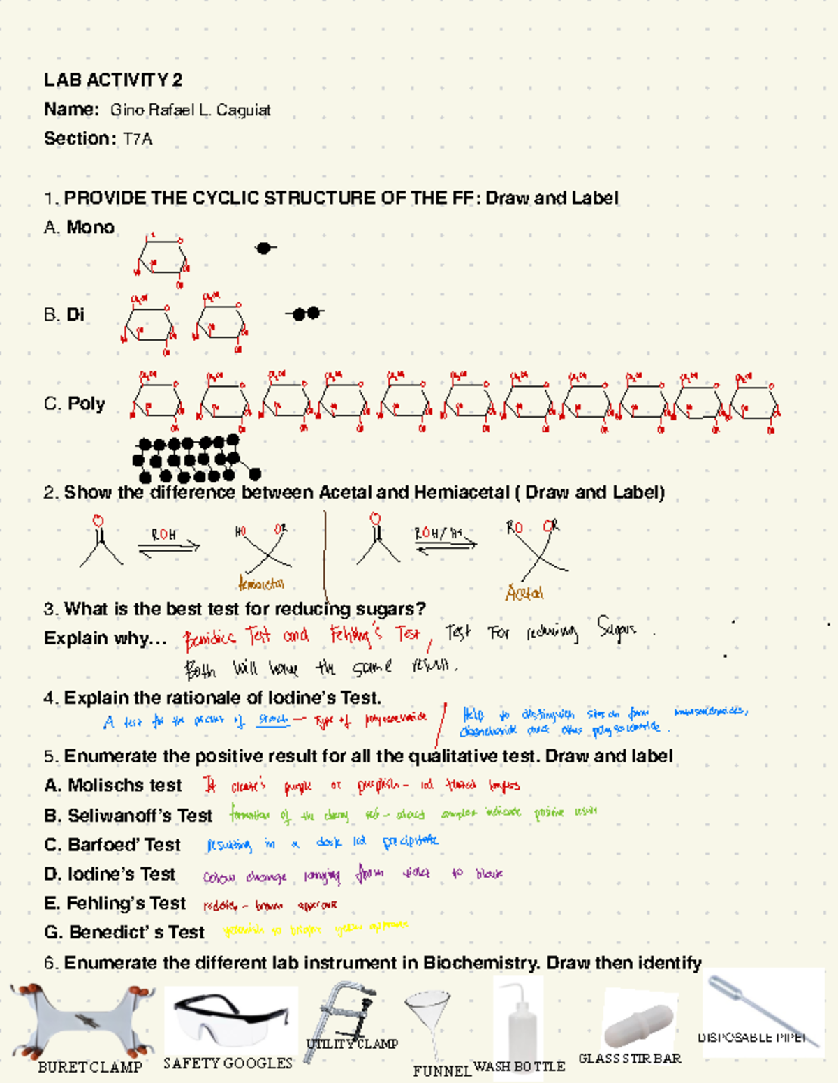 Biochemistry LAB T7A - Summary of Key Activities and Tests - Studocu