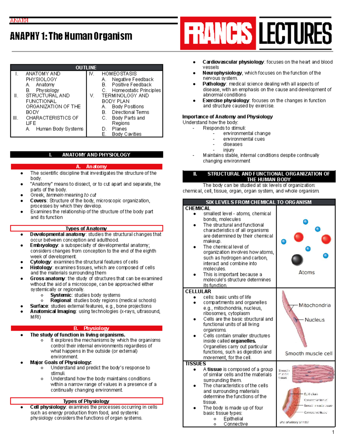 ANA101 ANAPHY 1: Outline of Human Anatomy and Physiology - Studocu