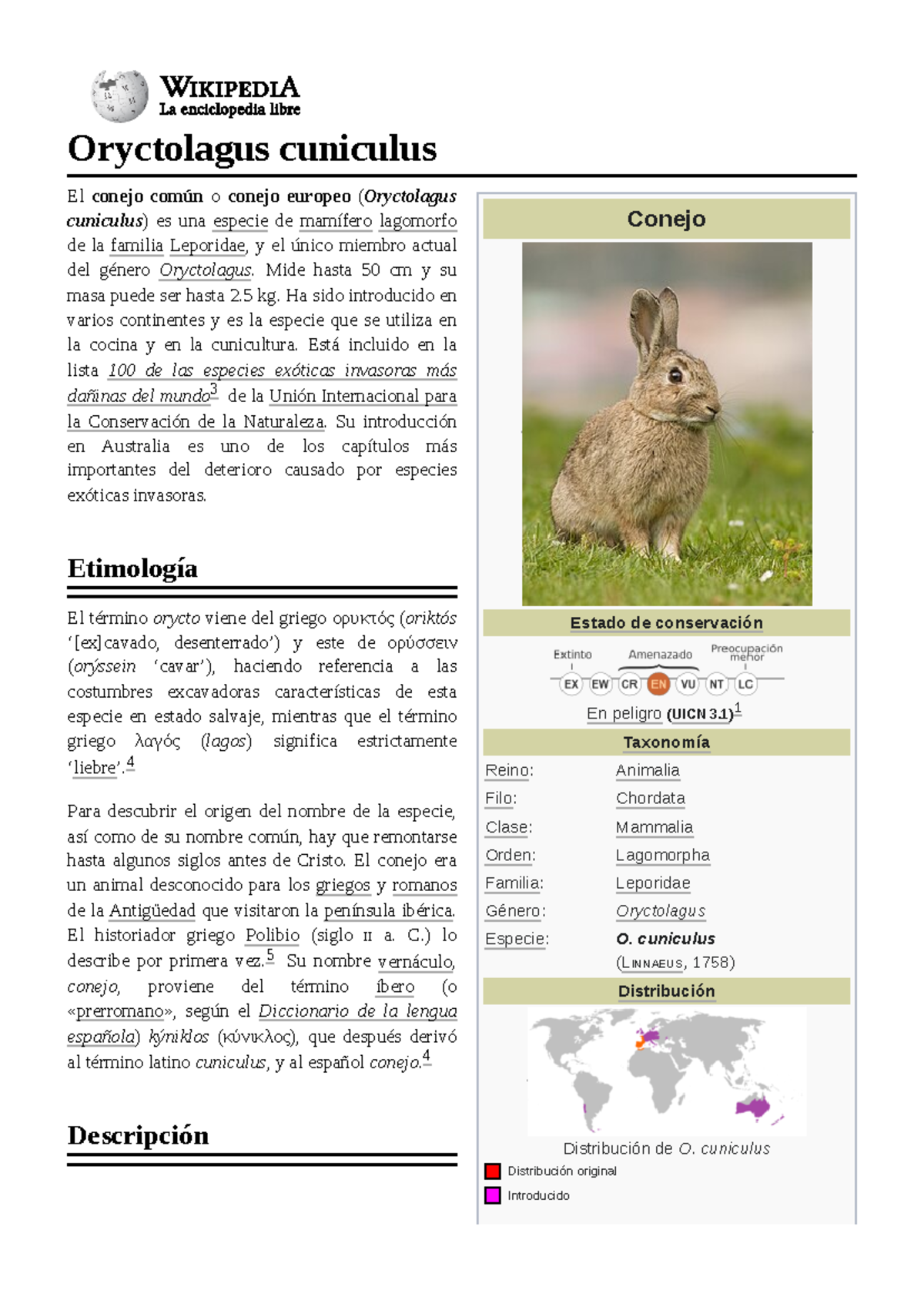 Oryctolagus cuniculus: Estudio sobre el Conejo Europeo y su ...