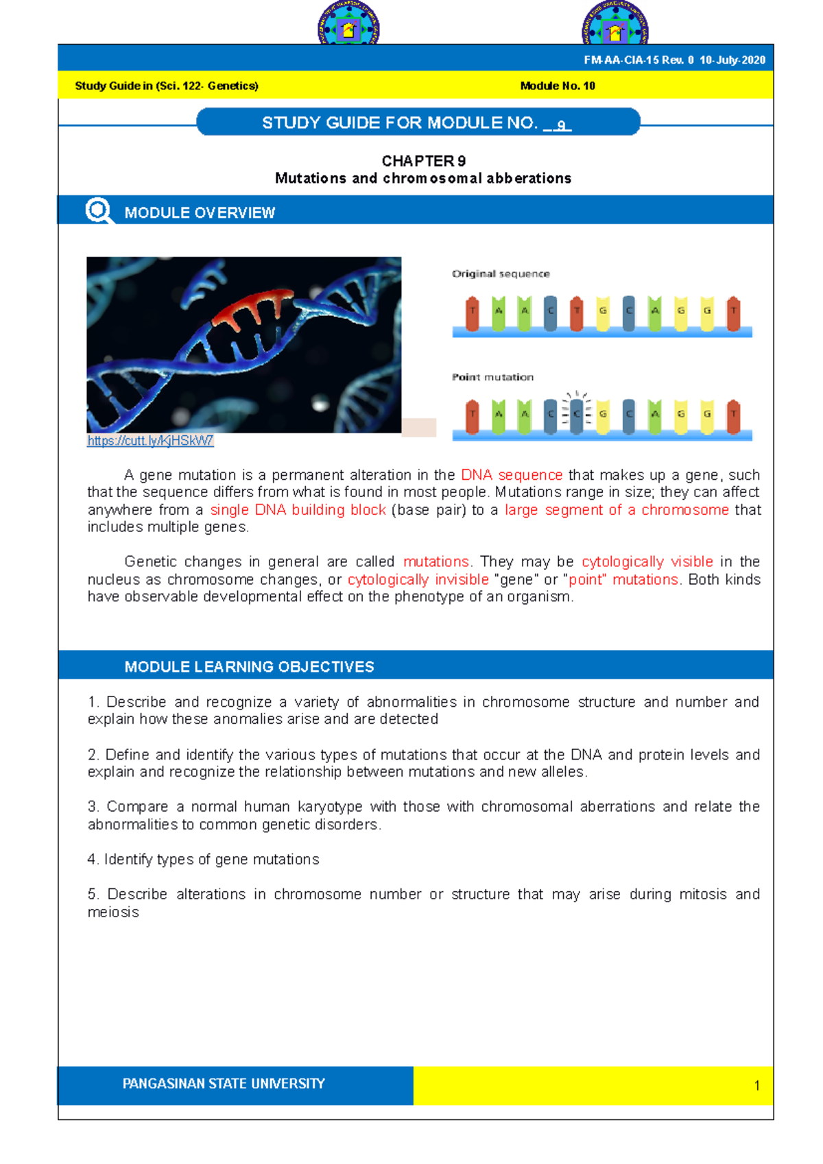 SG10 Module 10: Gene Mutations & Chromosomal Aberrations Study Guide ...