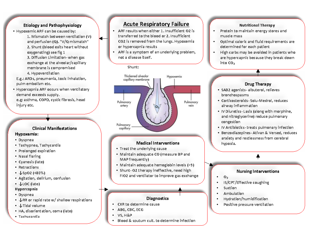 ARF & ARDS: Etiology, Pathophysiology, and Clinical Management - Studocu