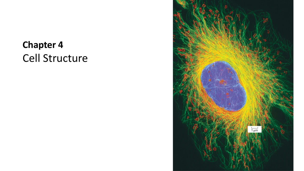 Biology 101: Chapter 1 - The Nature and Process of Scientific Inquiry ...